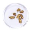 Image 2 : Lot of Gold Nuggets 3.26 grams Total Weight