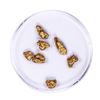 Image 1 : Lot of Gold Nuggets 3.81 grams Total Weight