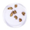 Image 2 : Lot of Gold Nuggets 3.81 grams Total Weight