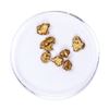 Image 1 : Lot of Gold Nuggets 3.12 grams Total Weight