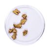 Image 1 : Lot of Gold Nuggets 3.35 grams Total Weight