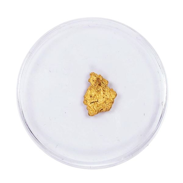 1.34 Gram Gold Nugget
