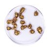 Image 2 : Lot of Gold Nuggets 7.22 grams Total Weight