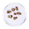 Image 1 : Lot of Gold Nuggets 2.92 grams Total Weight