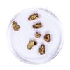 Image 2 : Lot of Gold Nuggets 2.92 grams Total Weight