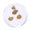 Image 2 : Lot of Gold Nuggets 2.88 Grams Total Weight
