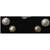 Image 1 : #22-FRESH WATER PEARL STUD EARRINGS