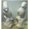 Image 1 : PAIR OF WHITE WARE PARROTS