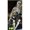 SKELETON APPROX 3 FT TALL & 4 METRES OF MATERIAL