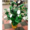 ESTATE ARTIFICIAL FLOWERING PLANT WITH WICKER