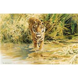 Donald Grant, Oil on canvas, Tiger