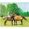 Image 1 : MALCOLM MORLEY Horses, 1971 Oil on canvas 30 x PROPERTY FROM A DISTINGUISHED COLLECTION