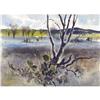 Image 1 : JOHN P. COWAN Graham Hamilton's Valley View,