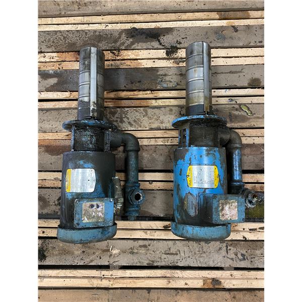 (2) Grundfos #SPKS-3/3 U-W-A-CVBV Pumps w/Baldor # 85.600005 Motors