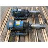Image 4 : (2) Grundfos #SPKS-3/3 U-W-A-CVBV Pumps w/Baldor # 85.600005 Motors