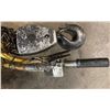 Image 5 : Budgit 2 Ton Air Chain Hoist, M/N: BAHC0215