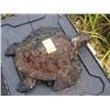 Image 1 : SEA TURTLE