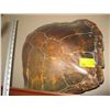 Image 1 : LG. TORTOISE SHELL
