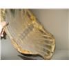 Image 3 : LG. TORTOISE SHELL