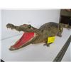 Image 2 : LARGER MOUNTED CAYMEN ALLIGATOR