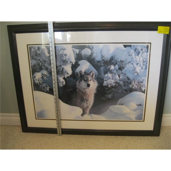 FRAMED WOLF PHOTOGRAPH