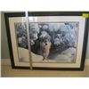 Image 1 : FRAMED WOLF PHOTOGRAPH