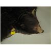 Image 3 : BLACK BEAR RUG WITH HEAD BOUND