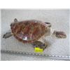 Image 1 : MOUNTED SEA TURTLE, BROKEN NECK