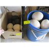 Image 1 : BUCKET & A BOX OF OSTRICH EGGS