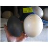 Image 2 : BUCKET & A BOX OF OSTRICH EGGS