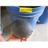 Image 2 : BUCKET OF OSTRICH EGGS