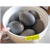 Image 1 : BUCKET OF OSTRICH EGGS