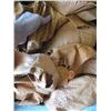 Image 2 : ORANGE OSTRICH HIDES