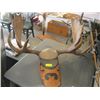 Image 1 : MOUNTED MOOSE HORNS