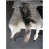 Image 2 : TANNED WOLF HIDE