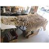 Image 1 : TANNED ZEBRA HIDE