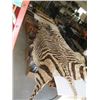 Image 2 : TANNED ZEBRA HIDE