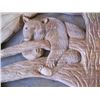 Image 2 : CARVING OF THE BEAR