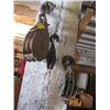 Image 1 : ASST. PULLEYS