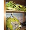 Image 1 : ASST. ROPE, ETC.