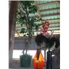Image 1 : ARTIFICIAL TREE & 2 VASES