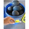 Image 1 : BUCKET OF OSTRICH EGGS