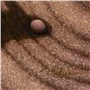 Image 2 : Migrate by Gilecki, Terry