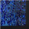Image 2 : Splash 29 by Wyland Original