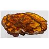Image 4 : Amber Carved Boulder