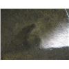 Image 2 : ANVIL