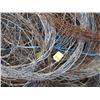 Image 2 : ROLLED BARBED WIRE