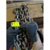 Image 1 : 2 CHAINS, 1 APPROX. 10' WITH HOOKS, OTHER APPROX. 12' NO HOOKS