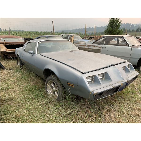 1980 Pontiac Turbo Firebird - no motor, 4 spd setup, has transmission, solid car