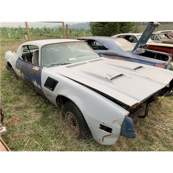 1976 Pontiac Formula - parts or restore, decent body, rolling shell